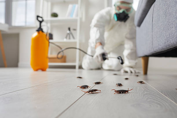 Commercial Rodent Management in Blakely